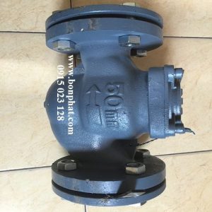 đồng hồ nước asahi gmk dn50