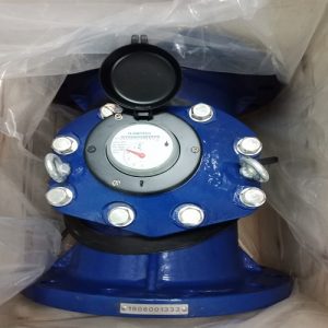 Đồng hồ nước DN250 Flowtech Malaysia