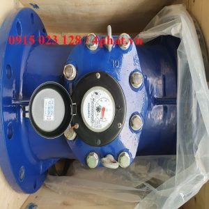 Đồng hồ nước DN300 FLowtech Malaysia