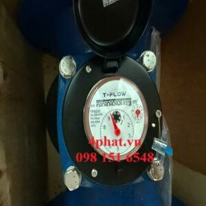 Đồng hồ nước T Flow DN200 model TFB