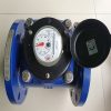 Đồng hồ nước T Flow DN125