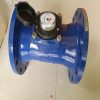Đồng hồ nước T-Flow DN200 Malaysia