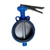 Van bướm DN200 tay gạt