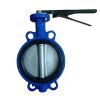 Van bướm DN150 tay gạt